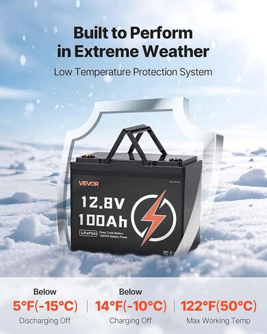 VEVOR 2 Pack 12V 100Ah LiFePO4 Battery, Up to 15000 Cycles, Deep Cycle Lithium Iron Phosphate Battery with Built-in BMS, Low Temp Protection, 10 Years Lifetime, for Solar Off-Grid Home Energy Storage in Saudi Arabia