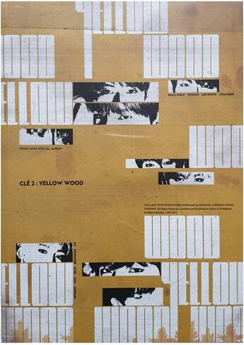 STRAYKIDS SKZ - ألبوم خاص [Cle 2: Yellow Wood] (إصدار Cle 2) CD-R + كتاب الصور + بطاقات صور QR in Kuwait