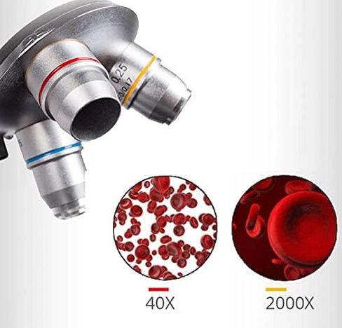Microscope Kit Professional 2000X Digital Compound Biological, Microscope LED School Laboratory with Screen Measuring Line Microscope Lens Adapters in Saudi Arabia