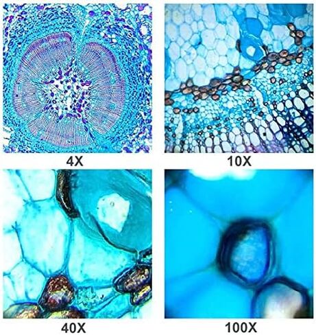 مجموعة ملحقات المجهر 40X-1600X مجهر ثلاثي العينيات مع شرائح المجهر المرحلة الميكانيكية ذات طبقتين in Saudi Arabia
