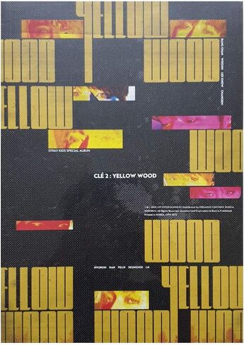 STRAYKIDS SKZ - [Cle 2 : Yellow Wood] Special Album (Yellow Wood Version) CD-R+Photobook+QR Photocards in Saudi Arabia