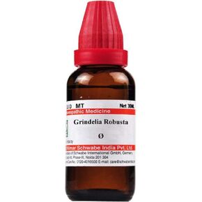 Schwabe Willmar Homeopathy Grindelia Robusta Mother Tincture Q (30 ML) by Exportmall in Saudi Arabia