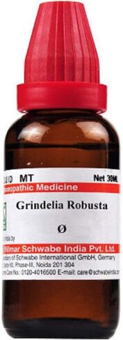 Schwabe Willmar Homeopathy Grindelia Robusta Mother Tincture Q (30 ML) by Exportmall in Saudi Arabia