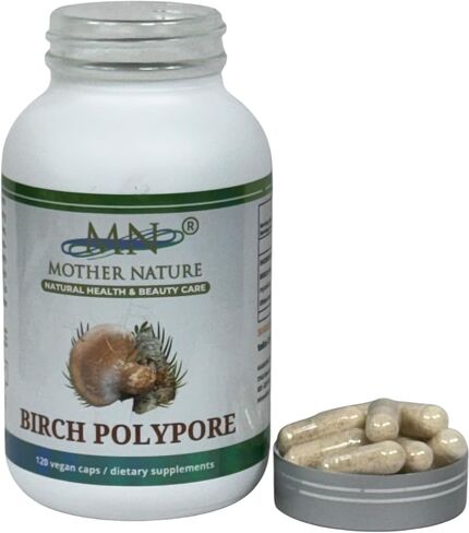 Birch Polypore Supplement (1000mg) - 120 Capsules in Saudi Arabia