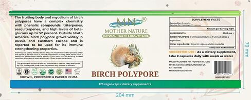 Birch Polypore Supplement (1000mg) - 120 Capsules in Saudi Arabia