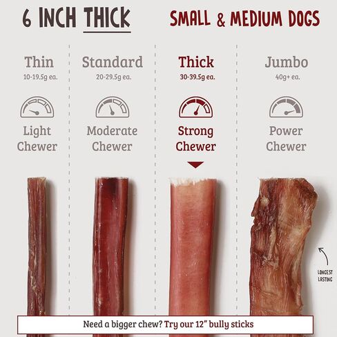 Barkz Naturals 6 Inch Odor-Free Bully Sticks for Dogs (12 Pack) - 100% All-Natural Beef Pizzle Sticks for Small to Medium Dogs - Moderate Chewers - Fully Digestible in Saudi Arabia
