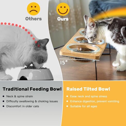 Lawfery Elevated Cat Bowls, 15° Tilted Cat Food Bowl in Saudi Arabia