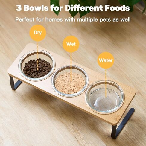 Lawfery Elevated Cat Bowls, 15° Tilted Cat Food Bowl in Saudi Arabia