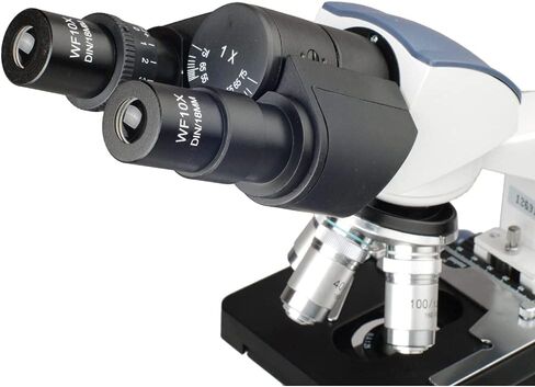 40X-2500X Lab Binocular Compound Microscope with 3D-Stage in Saudi Arabia