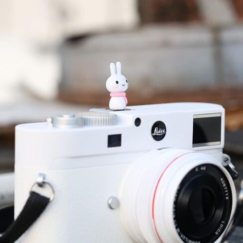 أحذية رائعة للغاية للكاميرا، مناسبة لكاميرات Leica وPentax وOlympus وSony وFuji وNikon وPanasonic وCanon وغيرها من كاميرات SLR والكاميرات الفردية الصغيرة، مناسبة لكاميرا محدد المدى (أرنب) in Saudi Arabia