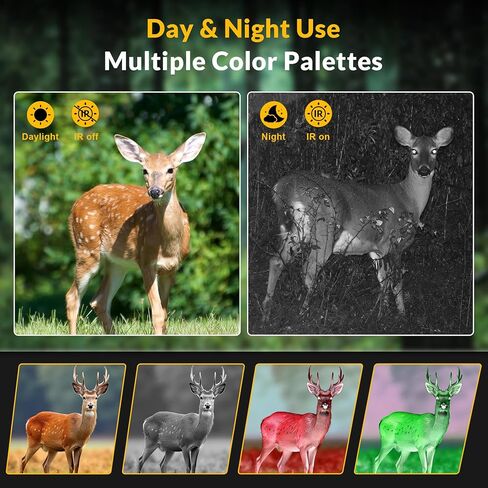 منظار أحادي للرؤية الليلية الرقمية بدقة 4K، مسافة مظلمة كاملة تبلغ 1314 قدمًا، وتسجيل الصور والفيديو بدقة 4K، والتركيز اليدوي والديوبتر، ونظارات الرؤية الليلية مع إضاءة بالأشعة تحت الحمراء، وبطاقة SD in Kuwait