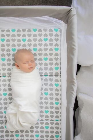 Regalo Baby Basics Infant Bassinet with Canopy, Award Winning Brand, Quick fold and Easy Setup, Removable Pad, See-Through Mesh, Bed-Side Bassinet, Gray in Kuwait