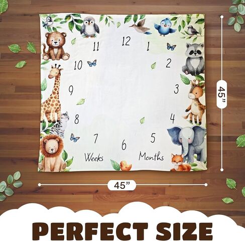 Daisa GM Baby Monthly Milestone Blanket Unisex 45"x45", with Baby Memory Book an Arrow and a Small Cloud, a Wooden Announcement Sign, Milestone Blanket. in Saudi Arabia
