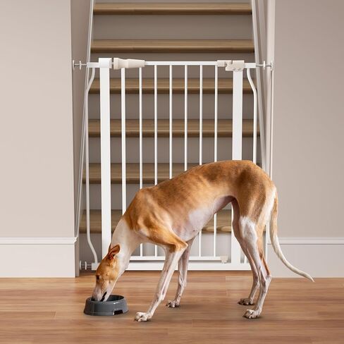 Elevon Pet Gate for Dogs, Pressure Mounted with Auto Close, Adjustable Width 29.1-33.8 Inch x 36 Inch, Gray in Saudi Arabia