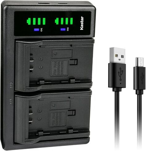 Kastar 2-Pack VW-VBG260 Battery and LTD2 USB Charger Replacement for Panasonic VW-VBG070, VW-VBG070-K, VW-VBG070PPK, VW-VBG130, VW-VBG130-K, VW-VBG130PPK, VW-VBG260, VW-VBG260-K, VW-VBG260PPK in Saudi Arabia