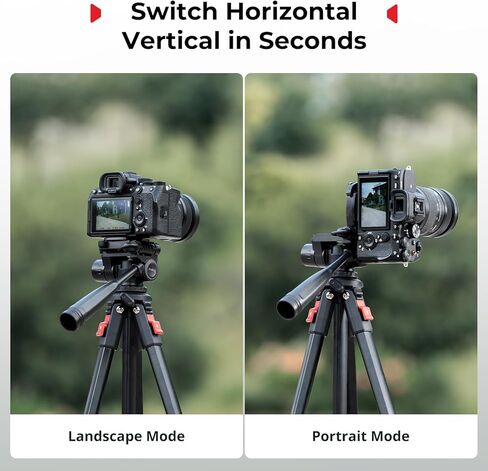 SmallRig Aluminum Camera Tripod Stand AP-30, 67.7" Travel Tripod with Phone Clip & Carry Bag, Portable Tripods with Quick-Flip Lock Legs, for Live Streaming and Vlogging, Max Load 11lb in Saudi Arabia