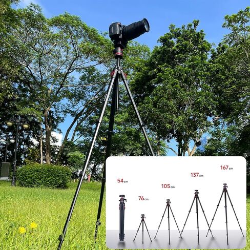 Camera Tripod, 70" Video Tripod with Fluid Head, Aluminum Heavy Duty Tripod with Carry Bag, Professional Camera Tripods & Monopods, Compatible with Canon, Sony, DSLR, Camcorder (TM70-FB1) in Saudi Arabia