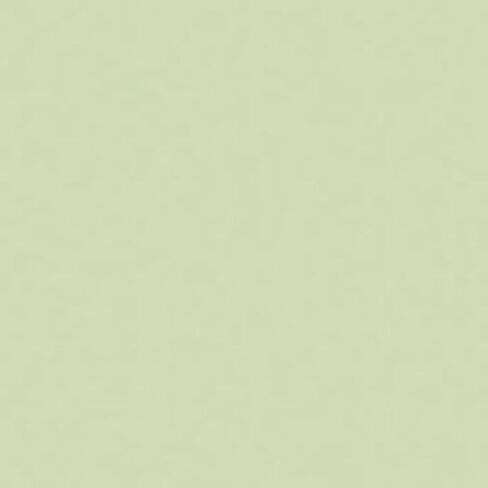 Rosco Roscolux Pale Yellow Green, 20x24 Color Effects Lighting Filter in Saudi Arabia