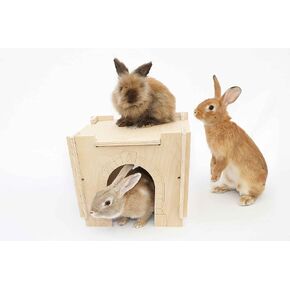 Small Pet Habitat Hideout-Tunnel, Rabbits, Guinea Pigs, Other Small Animals
