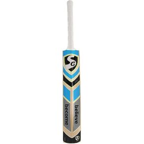 SG RSD Spark Kashmir Willow Cricket bat