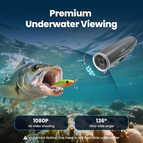 كاميرا صيد الأسماك CamX، كاميرا Lure Action HD 1080P و136 درجة زاوية واسعة للغاية، 656FT ROV مقاومة للماء/استشعار الحركة/تسجيل ذكي مجزأ/شحن لاسلكي/متوافق مع التطبيق in Saudi Arabia