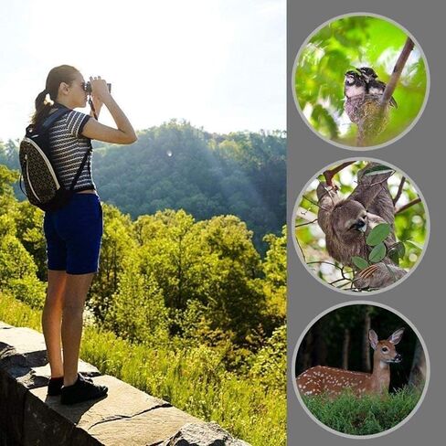 Telescopes for Adults Astronomy, High Power Binoculars Long-Lasting Powerful Binoculars, Compact Monocular Bird Watching Binoculars,Waterproof Fogproof Monocular for Outdoor Travelling Gaming in Saudi Arabia
