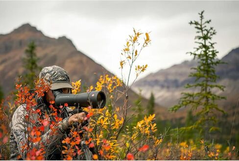 Leica APO-Televid 82 Angled Spotting Scope - Maximum Contrast, Perfect Color Fidelity, Precise Focusing, Watertight Coating in Kuwait