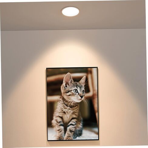 DECHOUS 20Pcs LED Downlight Diffusion Plates Round Lamp Shading Tools for Even Light Distribution Easy Installation Light Covers for Ceiling Fixtures Enhances Lighting Atmosphere in Saudi Arabia