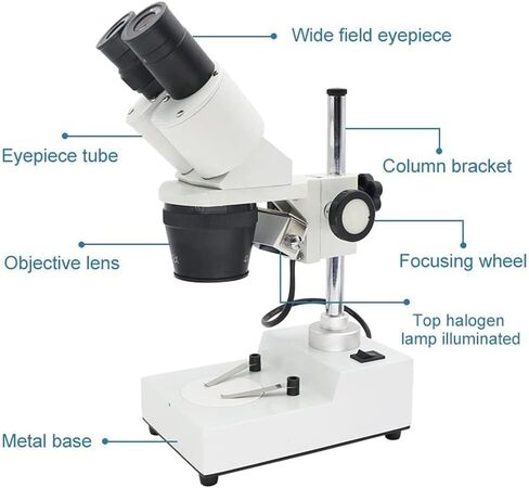 Binocular Stereo Microscope, 20X-40X Magnification, Top LED Illumination, Mobile Phone Adapter for PCB Soldering, Jewelry, and Industrial Repairs, White-20X 30X 40X in Saudi Arabia