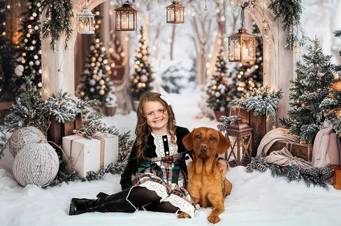 Kate Christmas Arch Door Backdrops Winter White Snow Land Photo Background Party Supplies Stduio Props, 10x8ft in Saudi Arabia