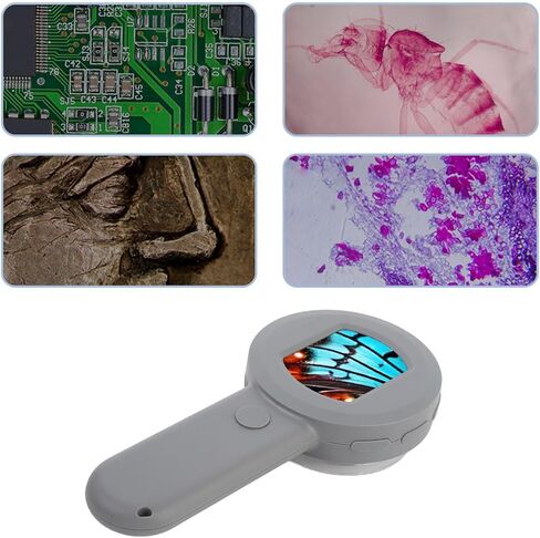 مجهر رقمي مع شاشة LCD مقاس 2 بوصة، وعدسة مجوهرات مضيئة 100 مرة مع 8 مصابيح LED قابلة للتعديل وكاميرا بدقة 16 ميجابكسل، وعدسة مكبرة محمولة باليد للأطفال البالغين in Kuwait