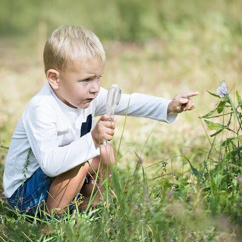 مجهر رقمي محمول من PUSOKEI، تكبير 2 ميجابكسل 500x مع شاشة 2 بوصة و6 مصابيح LED، لحام إصلاح دائرة التصوير الفوتوغرافي الكلي (أبيض) in Kuwait