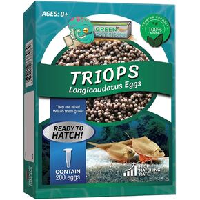 بيض Greenwaterfarm Triops Longicaudatus للتفريخ والثقافة مناسب ليكون مشروعًا للحيوانات الأليفة والعلوم (200 بيضة نقية)