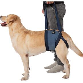 COODEO Dog Sling Carrier for Dogs, Dog Lift Harness for Hind Leg Support, Senior Dog Harness for Weak Rear Legs After ACL Surgery (M)