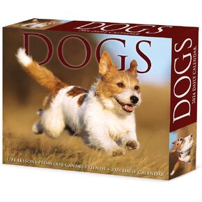 Willow Creek Press Dogs Daily 2024 Box/Desk Calendar (5.86" x 4.72") in Saudi Arabia