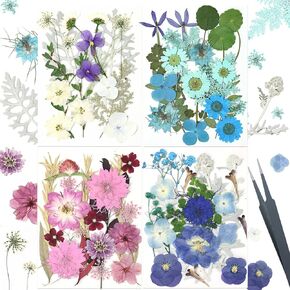 QVQQ Pressed Flowers Bulk 80 pcs Dried Flowers for Crafts Epoxy Resin Candle Making Greeting Cards DIY Nail Decorations Birthday Gifts Jewerlry with a Pair of Tweezers(Frozen Style