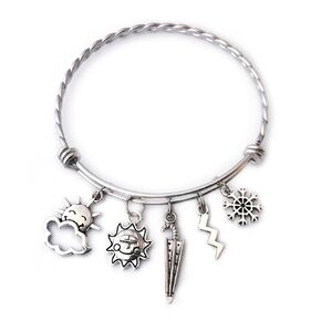 Meteorologist Charm Bracelet Weather Lightning Snow, Cloud Braided Stainless Steel Expandable Bangle