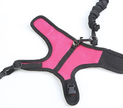 تسخير لينة قابل للتعديل أرنب تسخير المقود خنازير غينيا تسخير السلامة للأرانب خنازير غينيا تسخير أرنب تسخير الرصاص خنازير غينيا تسخير حبل الرصاص للحيوانات الأليفة الصغيرة الفئران الهامستر النمس in Kuwait