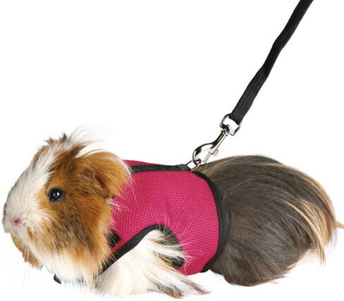 تسخير لينة قابل للتعديل أرنب تسخير المقود خنازير غينيا تسخير السلامة للأرانب خنازير غينيا تسخير أرنب تسخير الرصاص خنازير غينيا تسخير حبل الرصاص للحيوانات الأليفة الصغيرة الفئران الهامستر النمس in Kuwait