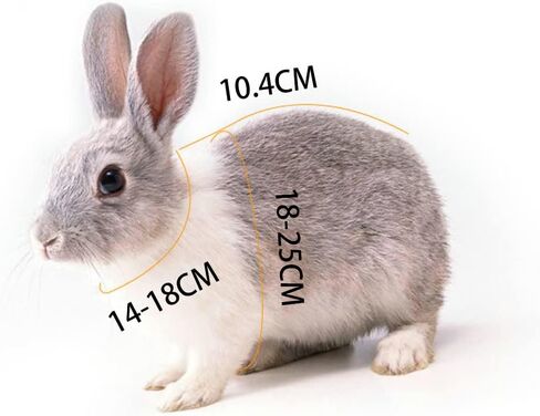 تسخير لينة قابل للتعديل أرنب تسخير المقود خنازير غينيا تسخير السلامة للأرانب خنازير غينيا تسخير أرنب تسخير الرصاص خنازير غينيا تسخير حبل الرصاص للحيوانات الأليفة الصغيرة الفئران الهامستر النمس in Kuwait
