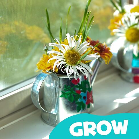 علبة سقاية من Hapinest Grow and Paint، 2 عبوة من مجموعة أدوات حديقة الزهور الحرفية هدايا للأطفال الأولاد والبنات الذين تتراوح أعمارهم بين 6 7 8 9 10 11 12 سنة فما فوق in Kuwait