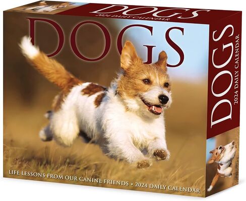 Willow Creek Press Dogs Daily 2024 Box/Desk Calendar (5.86" x 4.72") in Saudi Arabia