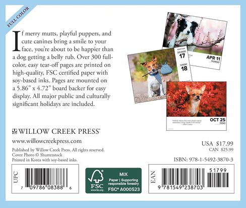 Willow Creek Press Dogs Daily 2024 Box/Desk Calendar (5.86" x 4.72") in Saudi Arabia