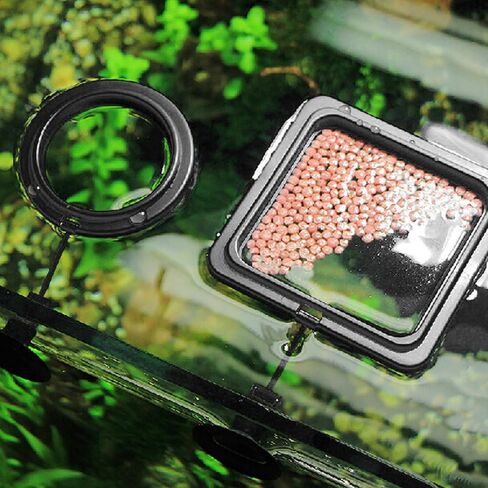 حلقة تغذية شودير، تمنع اضطراب الماء من غسل الطعام في الفلتر، طعام عائم دائري عملي لأسماك الطاووس والأسماك الذهبية والأسماك الصغيرة الأخرى (قطعة واحدة) in Kuwait