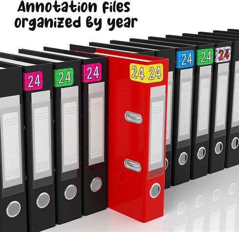 500pcs 2024 Year Stickers, 3/4x1-1/2 Inch File Folder Year Stickers 24 Year Labels Rectangle End Tab Labels for Office Party Decorations Files Classification (Holographic Green) in Saudi Arabia