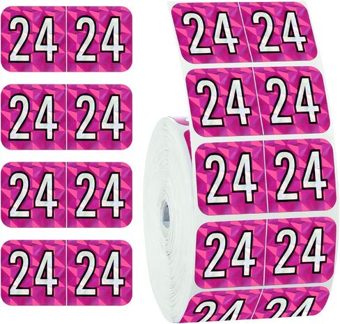 500pcs 2024 Year Stickers, 3/4x1-1/2 Inch File Folder Year Stickers 24 Year Labels Rectangle End Tab Labels for Office Party Decorations Files Classification (Holographic Green) in Saudi Arabia