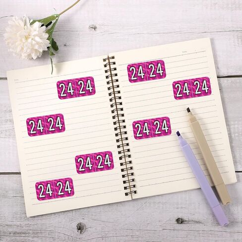 500pcs 2024 Year Stickers, 3/4x1-1/2 Inch File Folder Year Stickers 24 Year Labels Rectangle End Tab Labels for Office Party Decorations Files Classification (Holographic Green) in Saudi Arabia