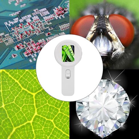 مجهر رقمي محمول مع مصدر ضوء مزدوج، تكبير عالي 200X وشاشة 2 بوصة، عدسة مكبرة LED محمولة للعينات البيولوجية (أبيض) in Kuwait