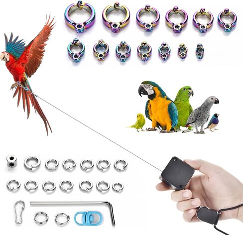 6.6Ft Bird Leash, with 13 Different Size Foot Ring Retractable Anti-Bite Parrot Harness, Bird Flight Training Rope for Budgies,Cockatiels,Psittacula Longicauda,Mini Macaws（Luxury Gold Color） in Kuwait