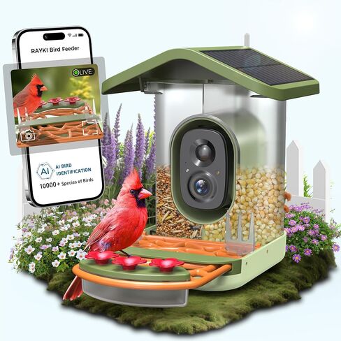 Rayki Metal Solar Smart Birder مع الكاميرا ، AI مع الأضواء الشمسية ، 2K HD CAM & WIFI ، تنبيهات وصول فورية ، هدية مثالية لمحبي الطيور in Kuwait